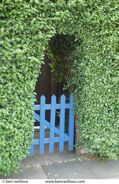 Gate in privet hedge: Nottingham Road, Spinney Hills, Leicester, 04 June 2006