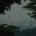 Orchard Road through the trees, Bukit Batok Nature Park, Singapore, 27 June 2006