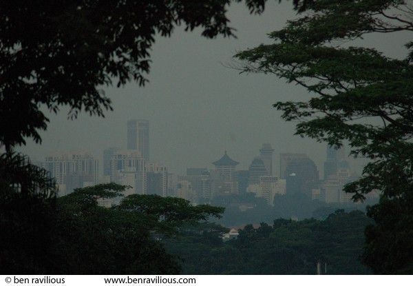 Orchard Road through the trees: Bukit Batok Nature Park, Singapore, 27 June 2006