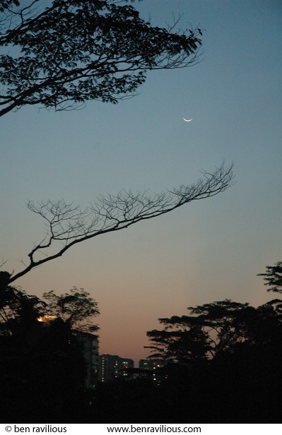 Dusk skyline: Bukit Batok Nature Park, Singapore, 27 June 2006