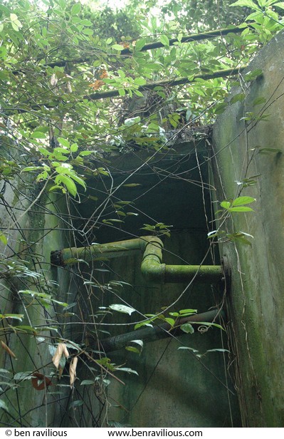 Overgrown tanks: Bukit Timah Nature Reserve, Singapore, 02 July 2006