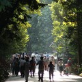 Sunlet walkers, Botanical Gardens, Singapore, 04 July 2006