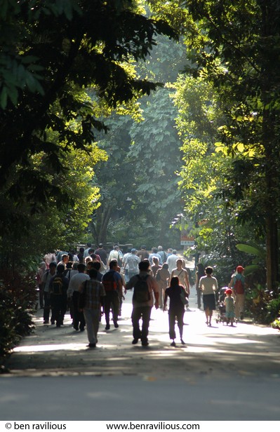 Sunlet walkers: Botanical Gardens, Singapore, 04 July 2006