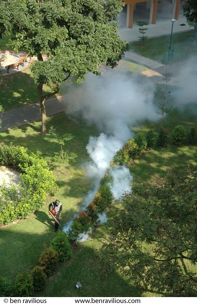 Fumigating bushes: Bukit Batok, Singapore, 05 July 2006