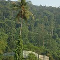 Water tanks in the forest, Berjaya, Pulau Tioman, Malaysia, 14 July 2006
