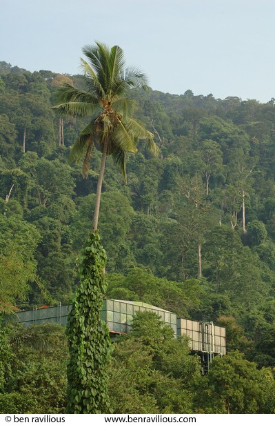 Water tanks in the forest: Berjaya, Pulau Tioman, Malaysia, 14 July 2006