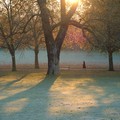 Woman walking across frosty park at dawn , Spinney Hill Park, Leicester, 04 November 2006