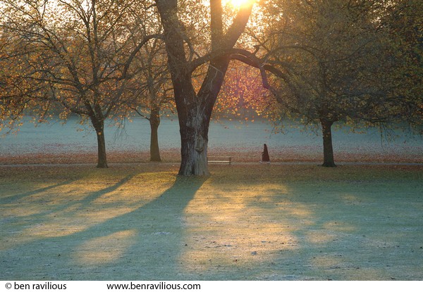 Woman walking across frosty park at dawn : Spinney Hill Park, Leicester, 04 November 2006