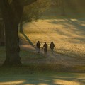 Trio walking in a park, Spinney Hill Park, Leicester, 04 November 2006