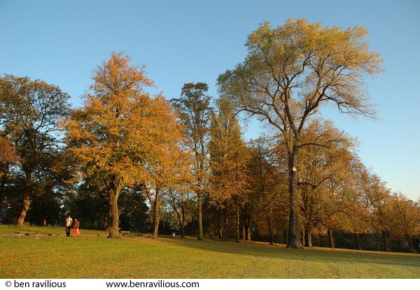 Autumnal park at dawn: Spinney Hill Park, Leicester, 04 November 2006