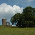 Old John', Bradgate Park, Leicestershire, 02 June 2007