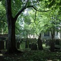 Graveyard of St Mary's de Castro Church, Castle Yard, Leicester, 09 June 2007